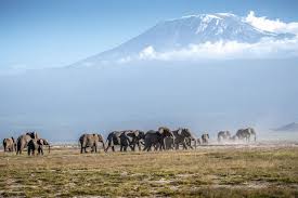 Mount Kenya